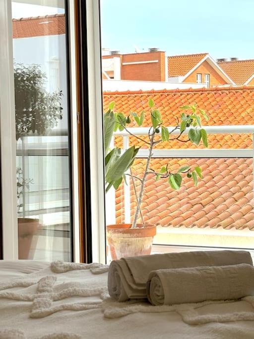 Nazare Boutique W Sea View And Private Rooftop Terace Exterior photo